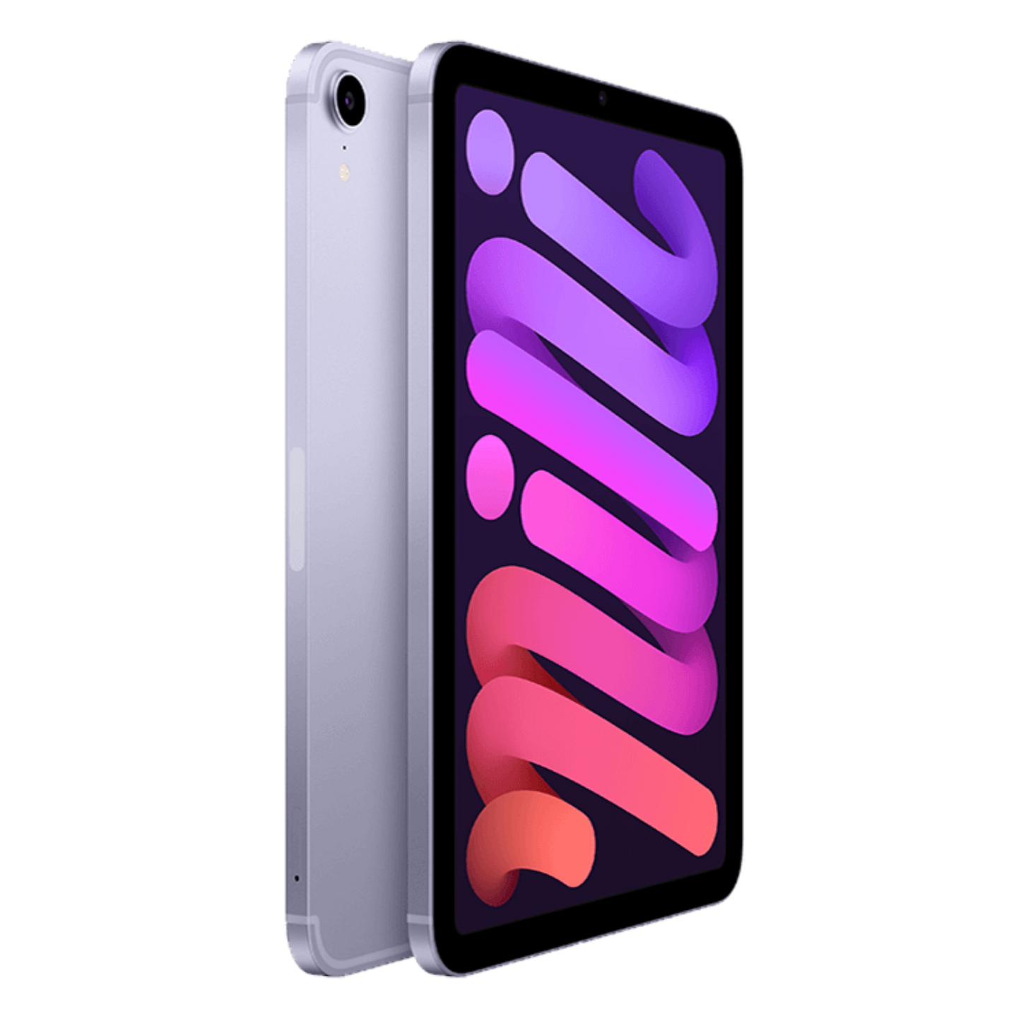 iPad Mini - Purple